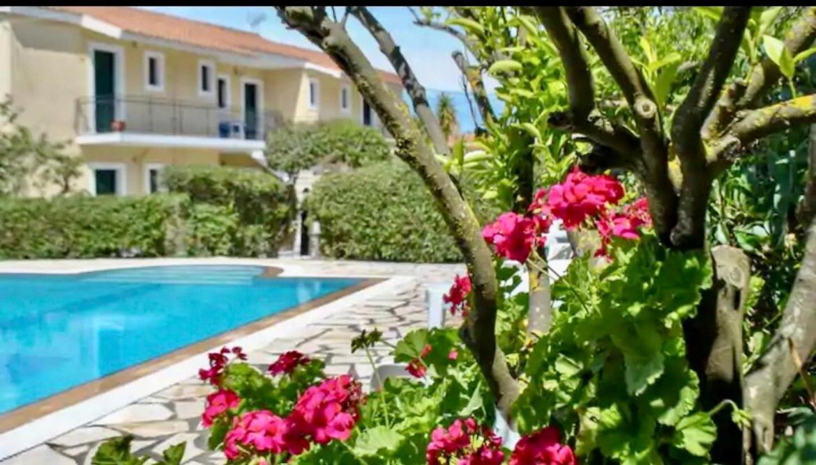 Lemon Tree Apartments A D Argostoli (Kefalonia) Exterior foto